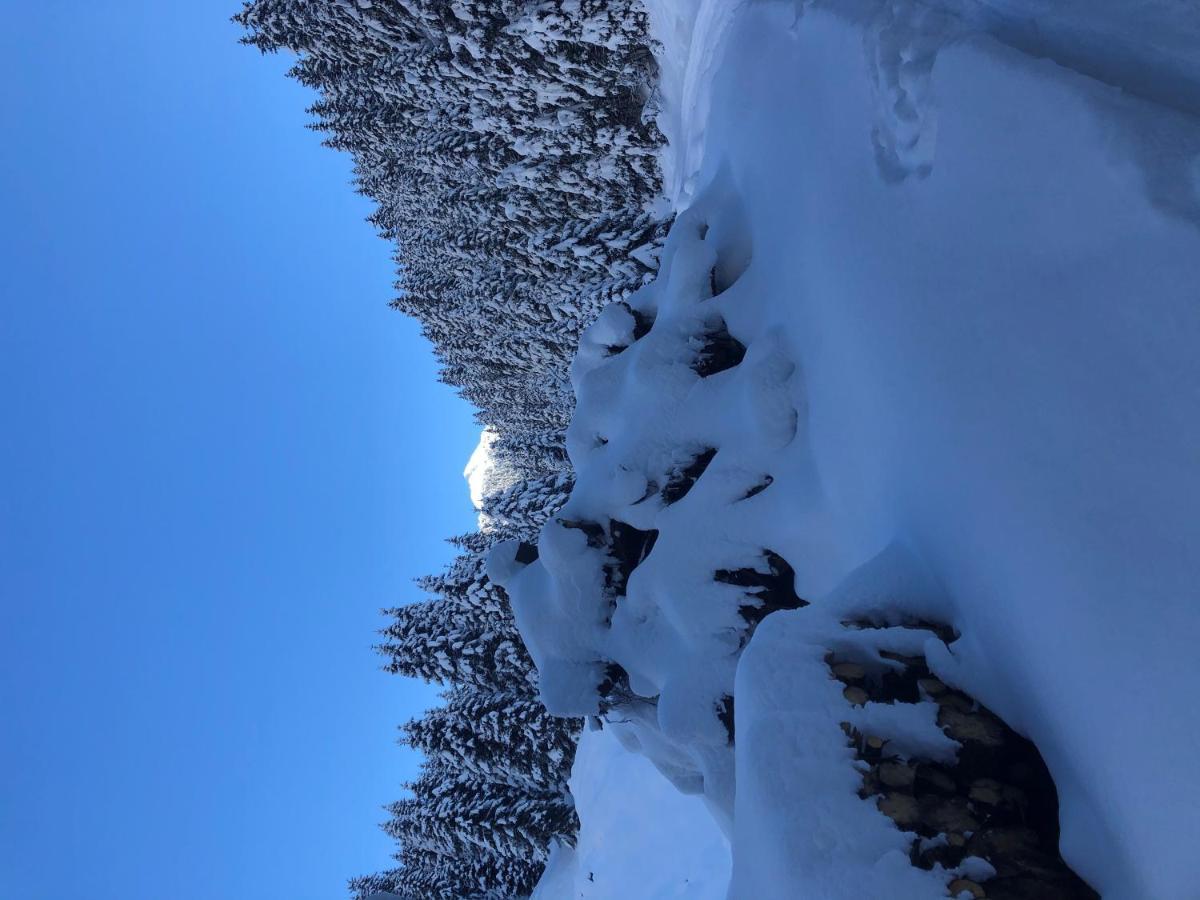 Alpapart - Innsbruck Ellbögen エクステリア 写真